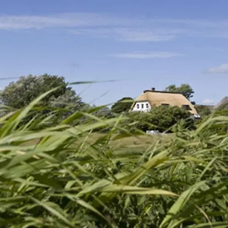 In A Thatched House In Appartamento Pellworm